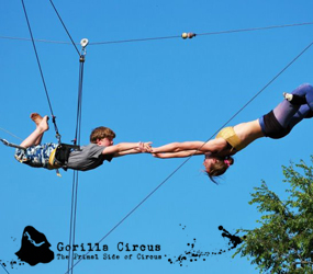 Trapeze Lessons | StyleNest